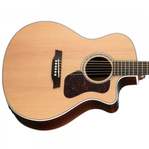 Walden G800CE Natural All-Solid Sitka/Rosewood Grand Auditorium Acoustic Cutaway
